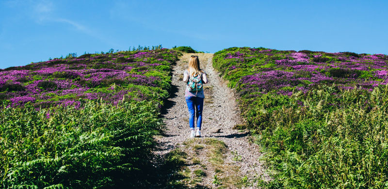 Com la primavera afecta el sistema immunitari